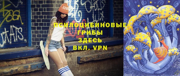 ешки Белокуриха