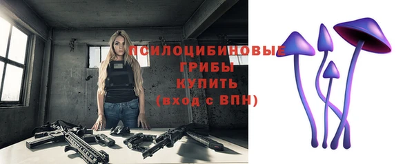 ешки Белокуриха