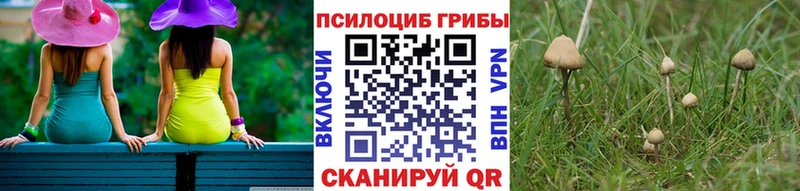 Псилоцибиновые грибы Magic Shrooms  kraken маркетплейс  Железногорск-Илимский 
